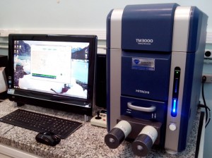 Microscópio Eletrônico de Varredura (MEV)