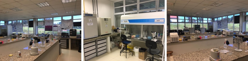 Lab. de Morfofisiologia Molecular e Desenvolvimento (LMMD/ZMV FZEA/USP)