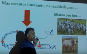 Prof. Dr. José Bento Sterman Ferraz <em>(foto: Canal do Boi)</em>