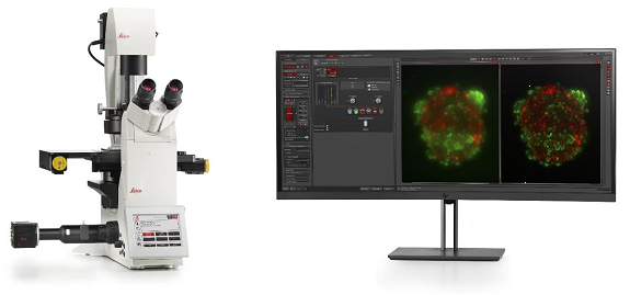 Microscópio Biológico Invertido (Thunder Imager 3D Assay Leica)