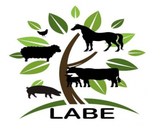 Logo LABE