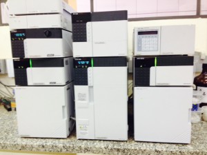 Cromatógrafo Líquido de Alta Eficiência (HPLC)